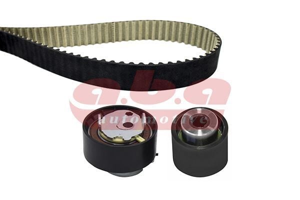 TRİGER SETİ (DAYCO KAYIŞ+NSK RULMAN )